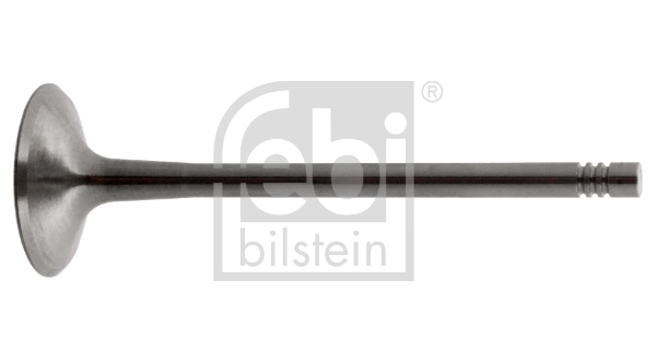 Intake Valve
